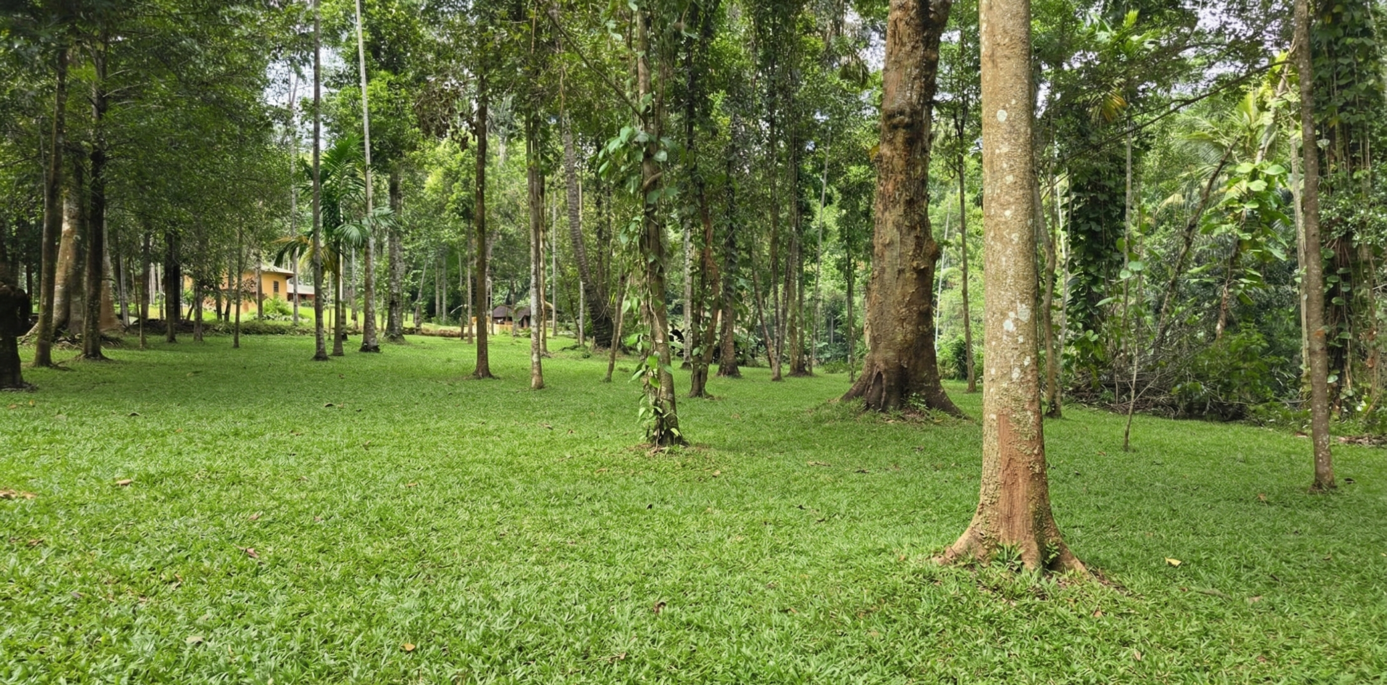 Dunuwila Walawwa Land Image